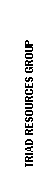 Text Box: Triad Resources Group 